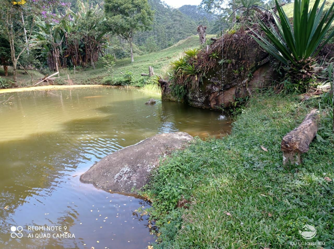 Terreno à venda, 20000m² - Foto 3