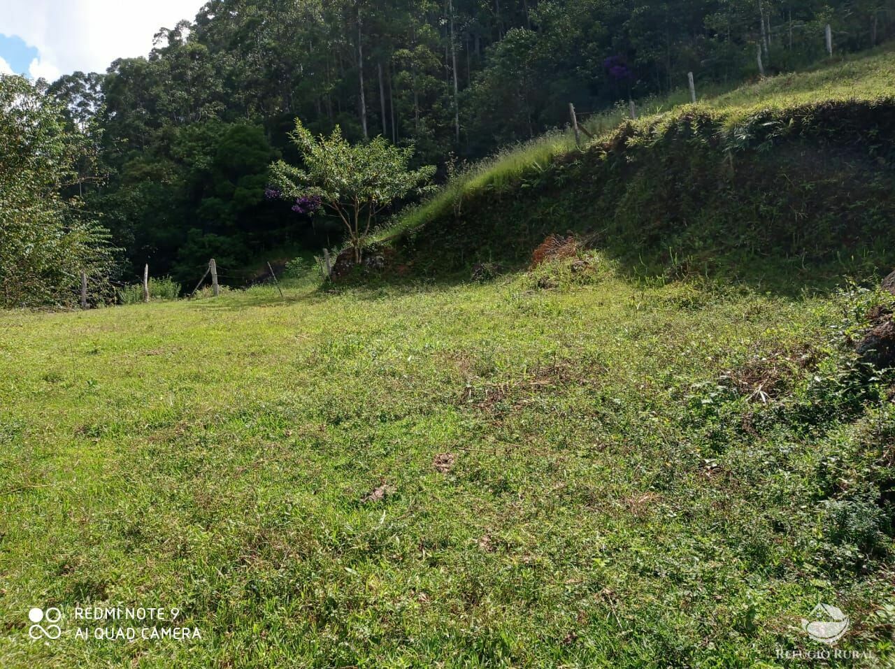 Terreno à venda, 20000m² - Foto 23