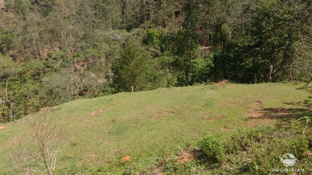 Terreno à venda, 20000m² - Foto 39