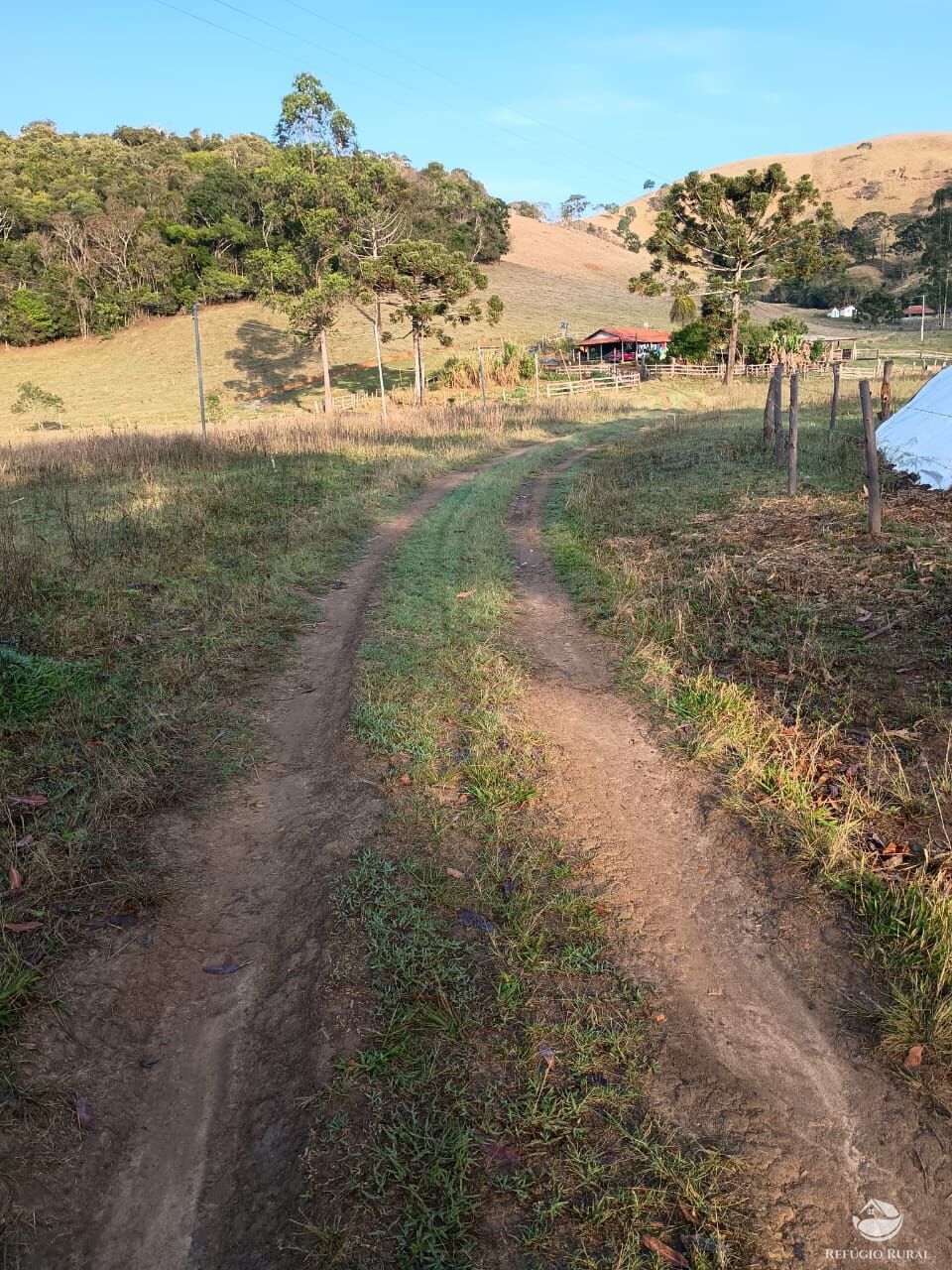 Sítio, 12 hectares - Foto 6