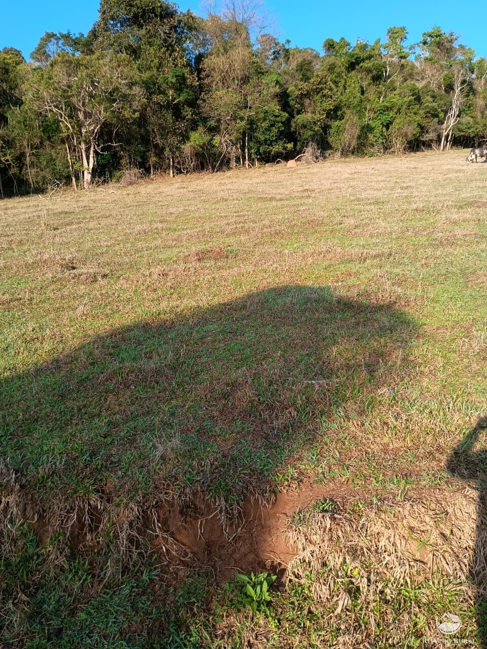 Sítio, 3 quartos, 12 hectares - Foto 4