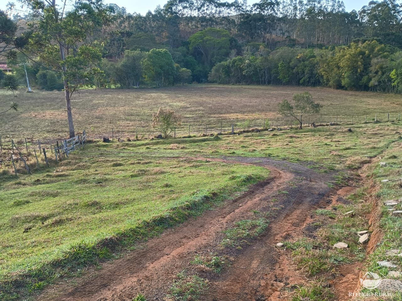 Sítio, 12 hectares - Foto 9