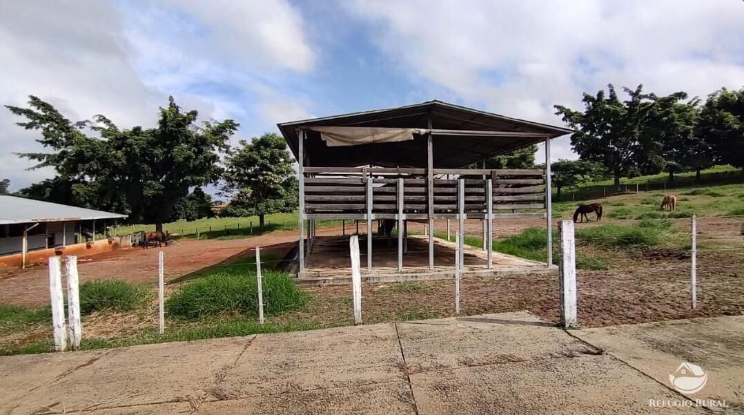 Fazenda, 1694 hectares - Foto 24