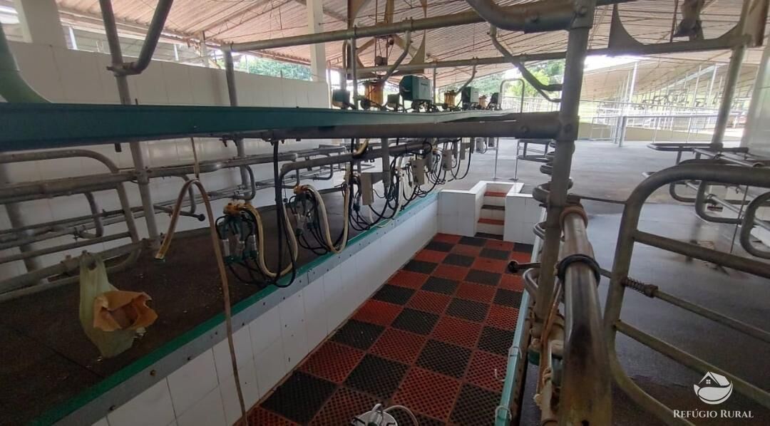 Fazenda, 1694 hectares - Foto 27