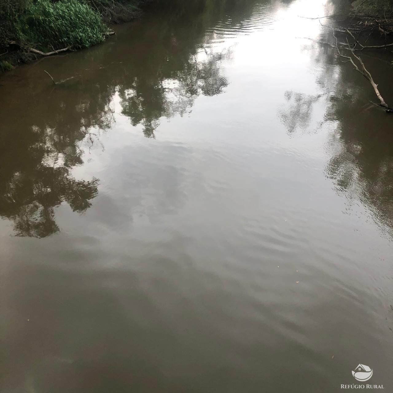 Fazenda, 1694 hectares - Foto 6