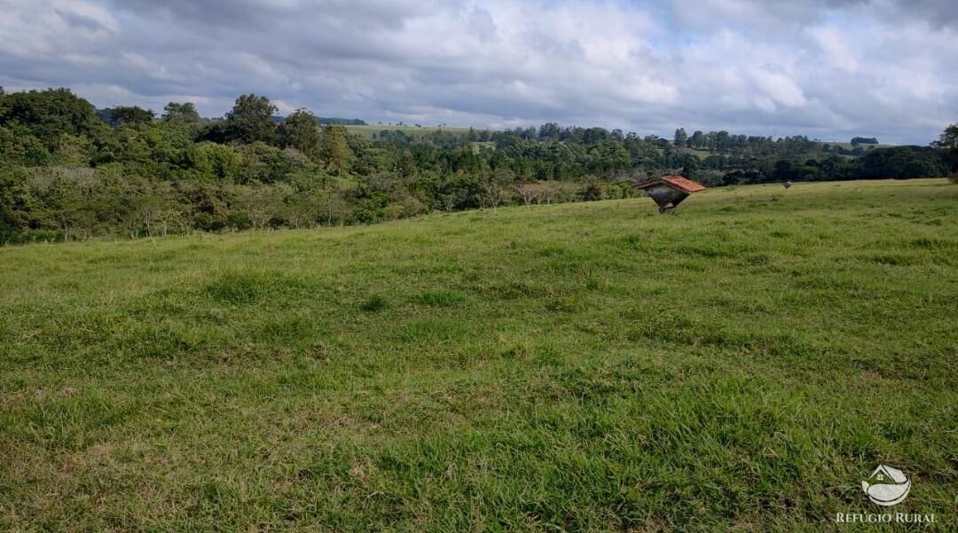 Fazenda, 1694 hectares - Foto 23
