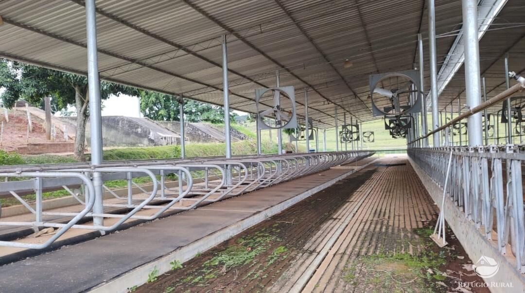 Fazenda, 1694 hectares - Foto 26