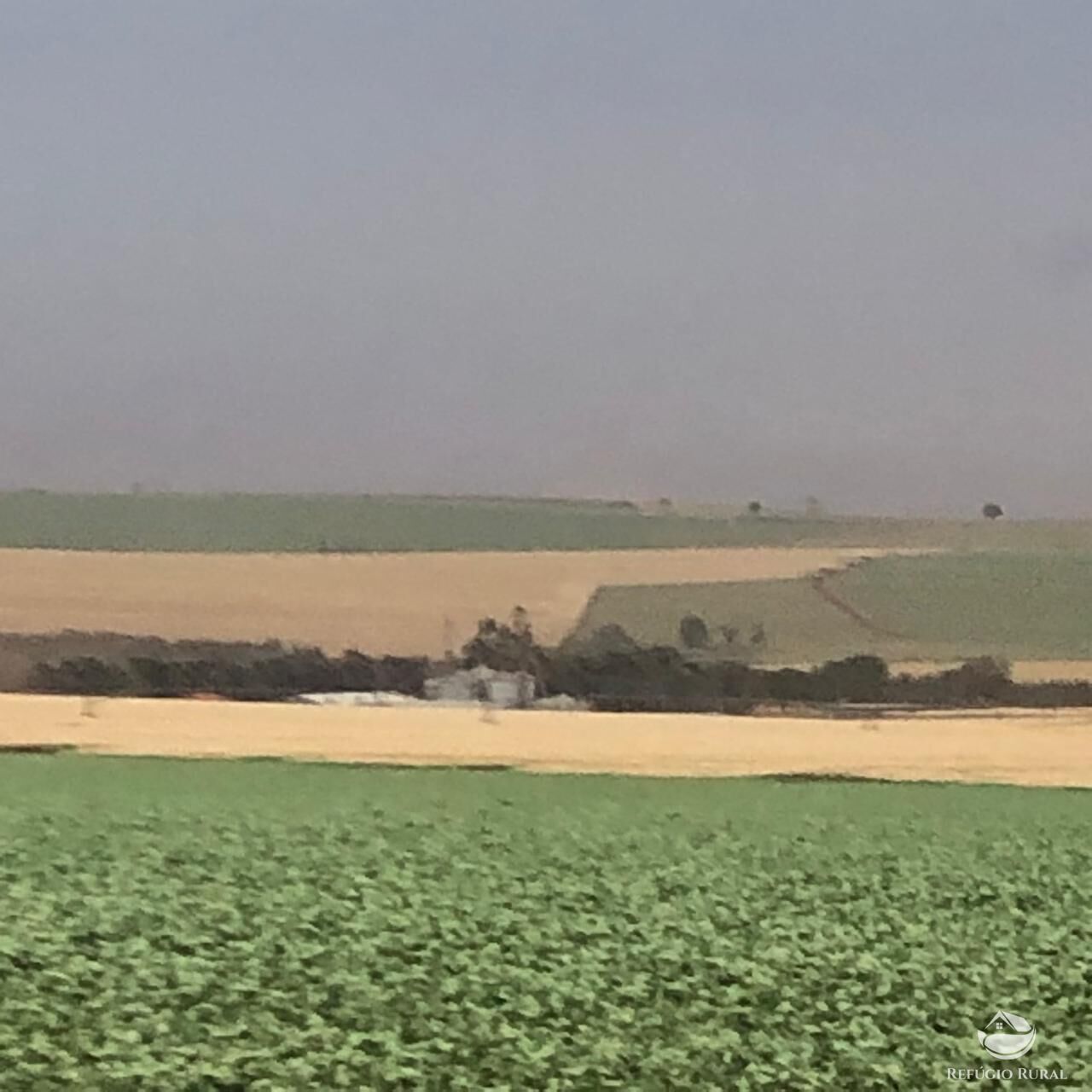 Fazenda, 1694 hectares - Foto 12