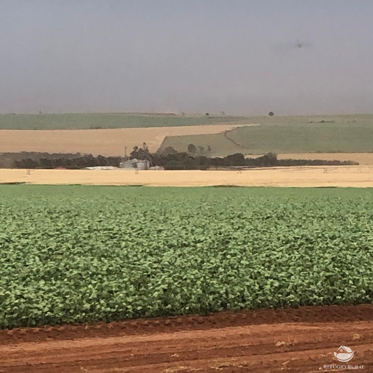 Fazenda, 1694 hectares - Foto 9