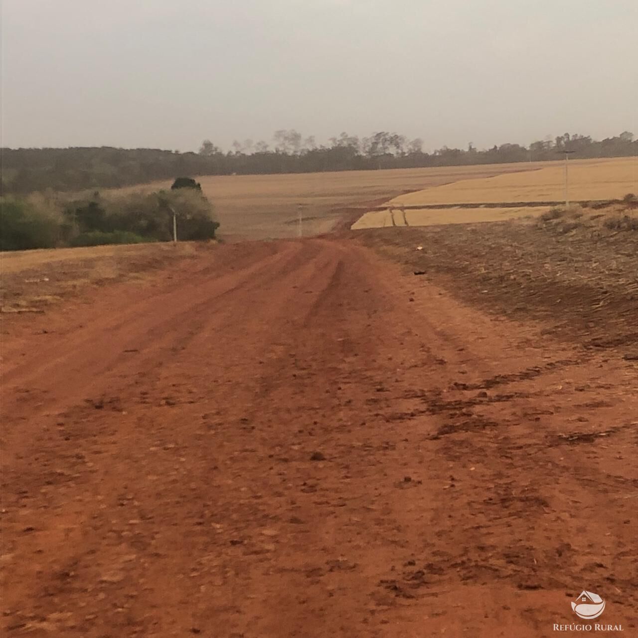 Fazenda, 1694 hectares - Foto 13