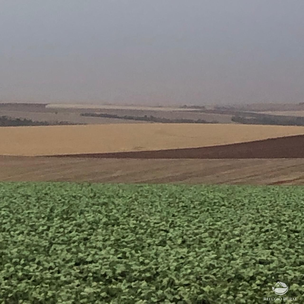 Fazenda, 1694 hectares - Foto 10