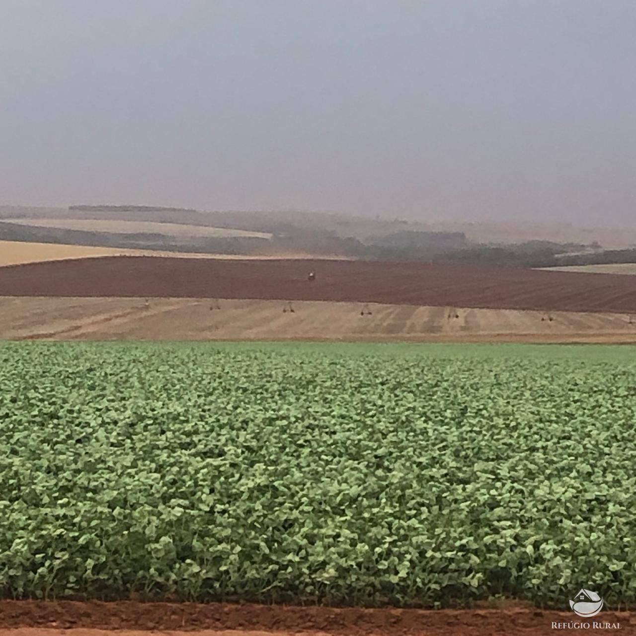 Fazenda, 1694 hectares - Foto 11