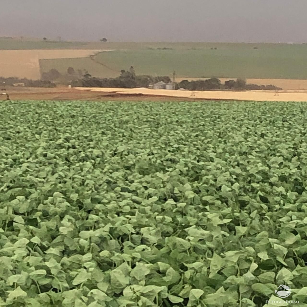 Fazenda, 1694 hectares - Foto 8