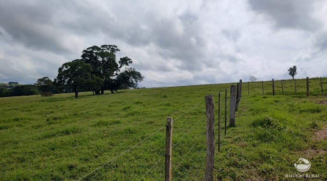 Fazenda, 1694 hectares - Foto 19