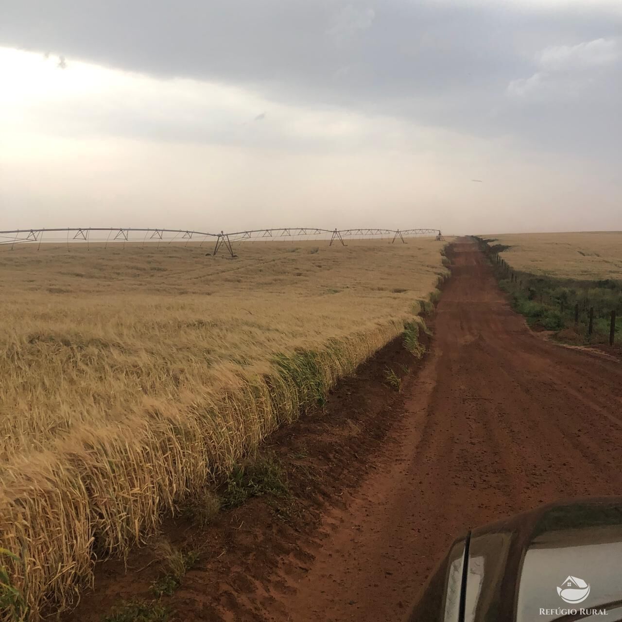 Fazenda, 1694 hectares - Foto 4