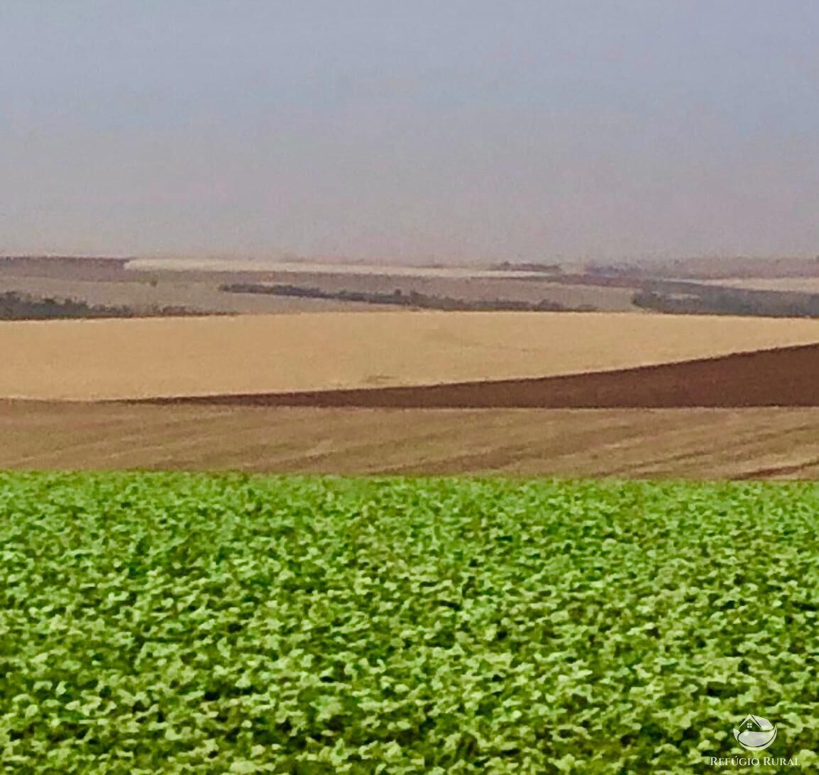 Fazenda, 1694 hectares - Foto 1