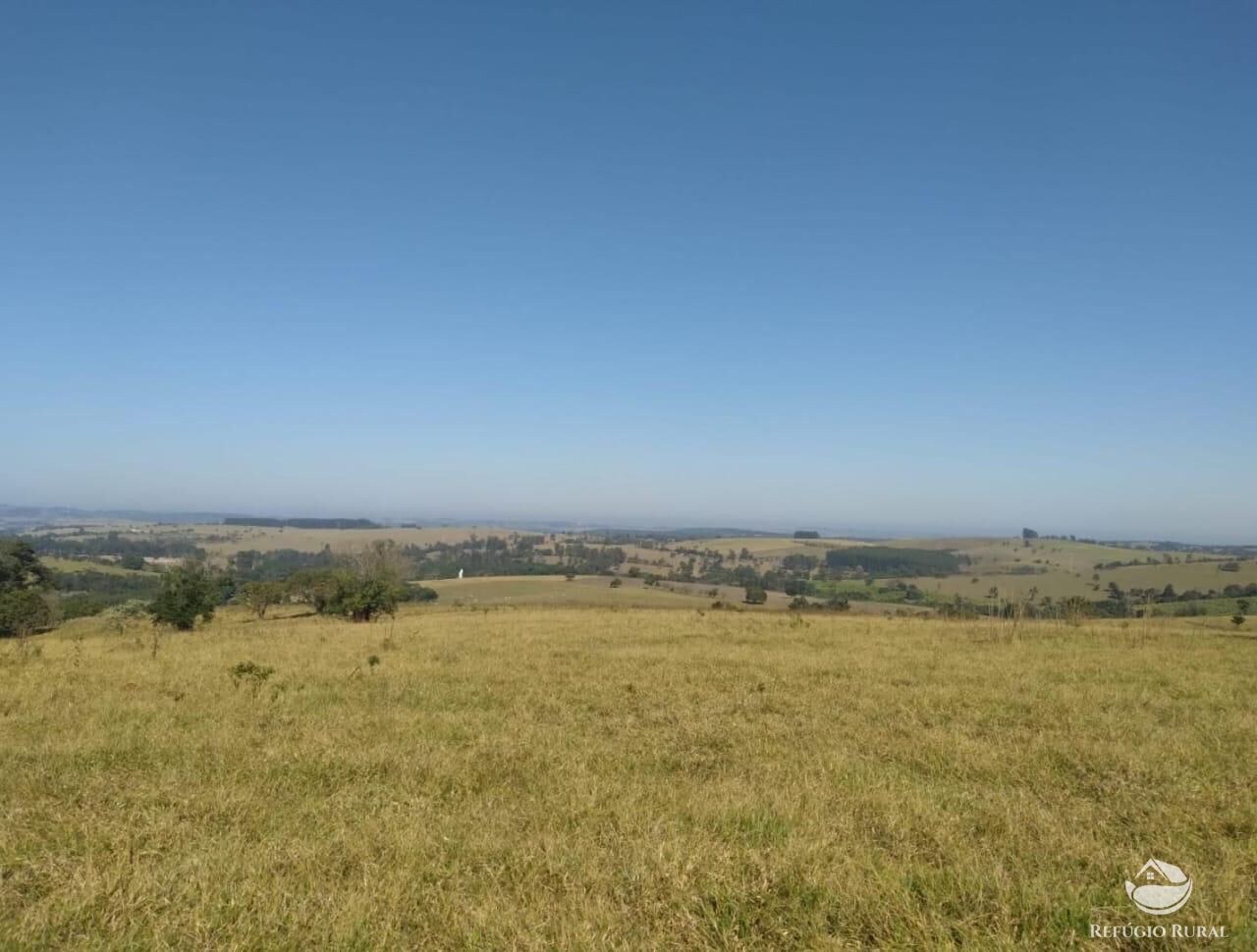 Fazenda, 1694 hectares - Foto 22