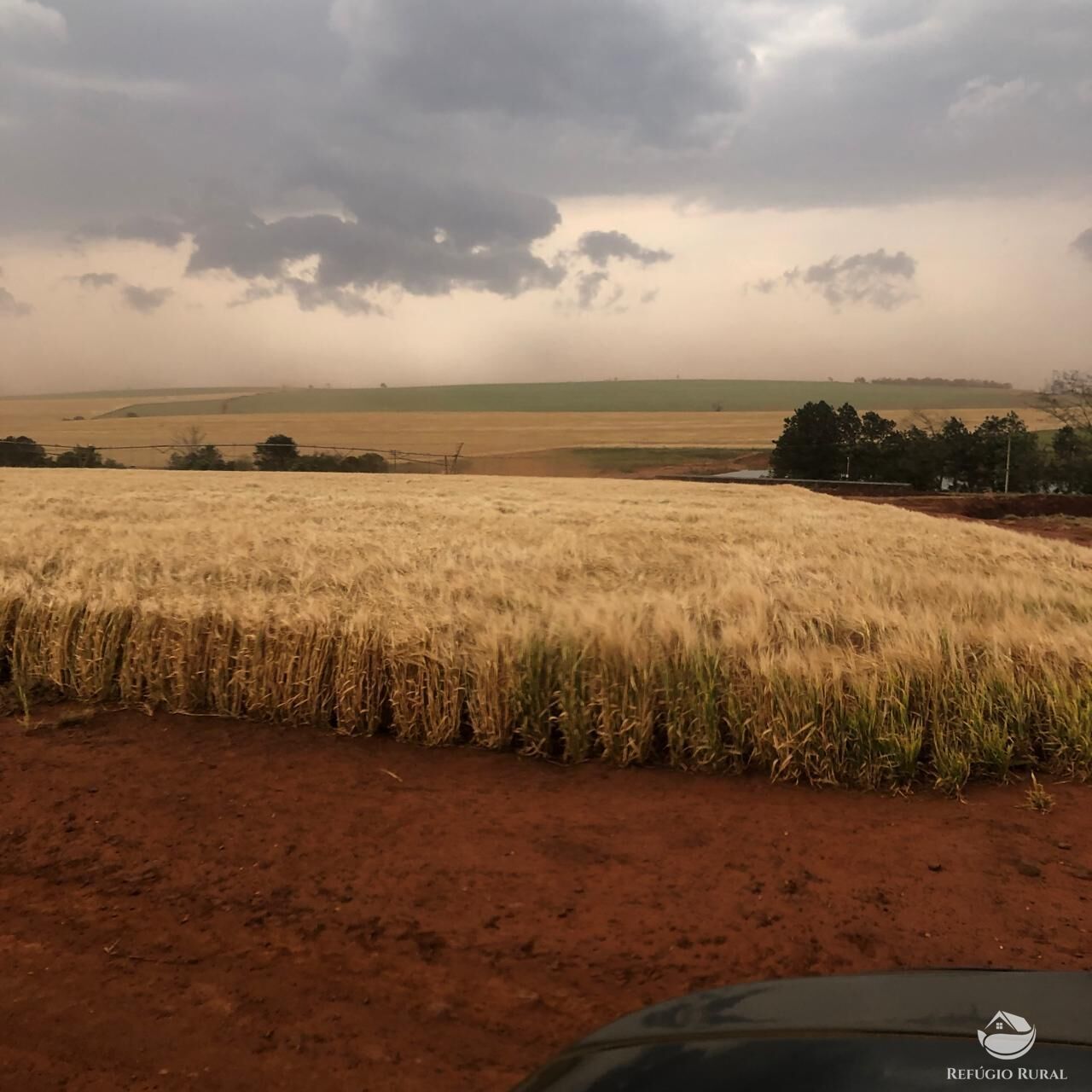 Fazenda, 1694 hectares - Foto 5