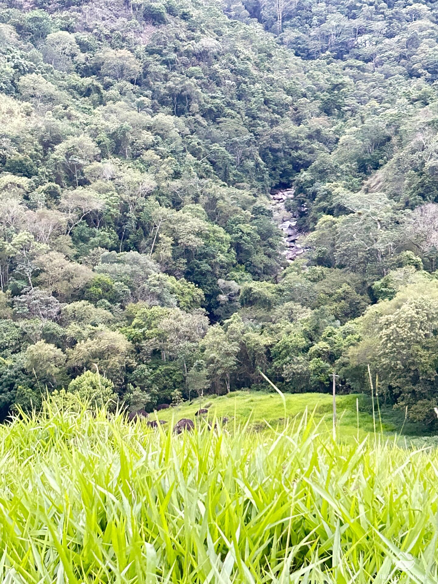 Terreno à venda, 20000m² - Foto 3