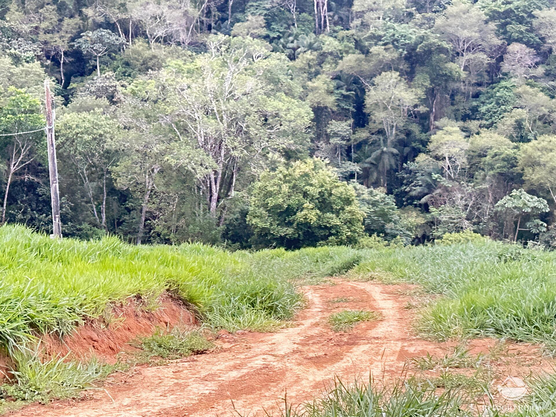 Terreno à venda, 20000m² - Foto 4