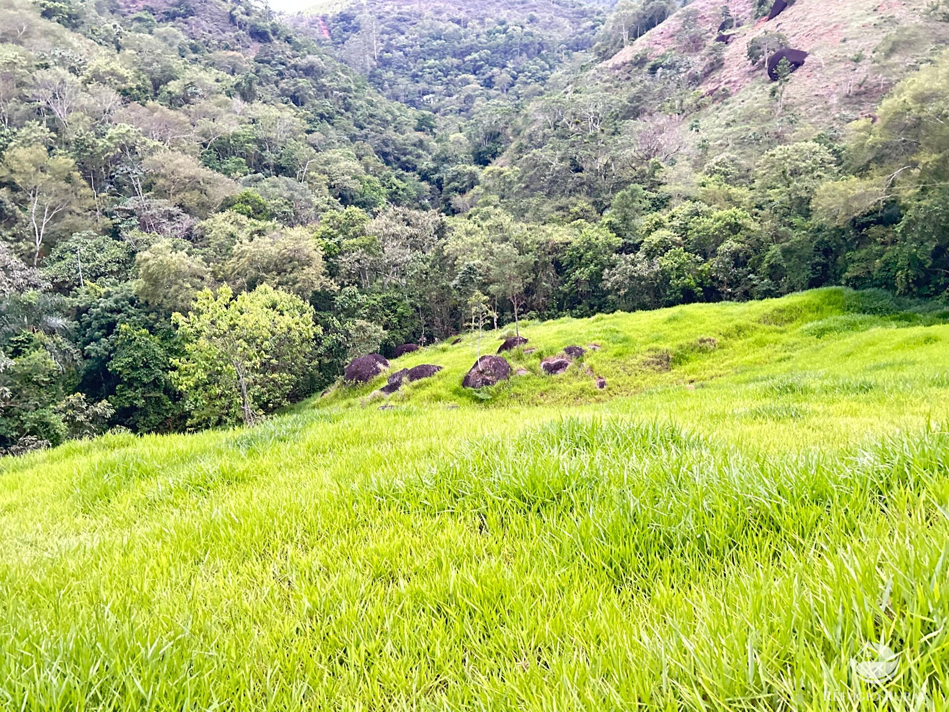 Terreno à venda, 20000m² - Foto 10