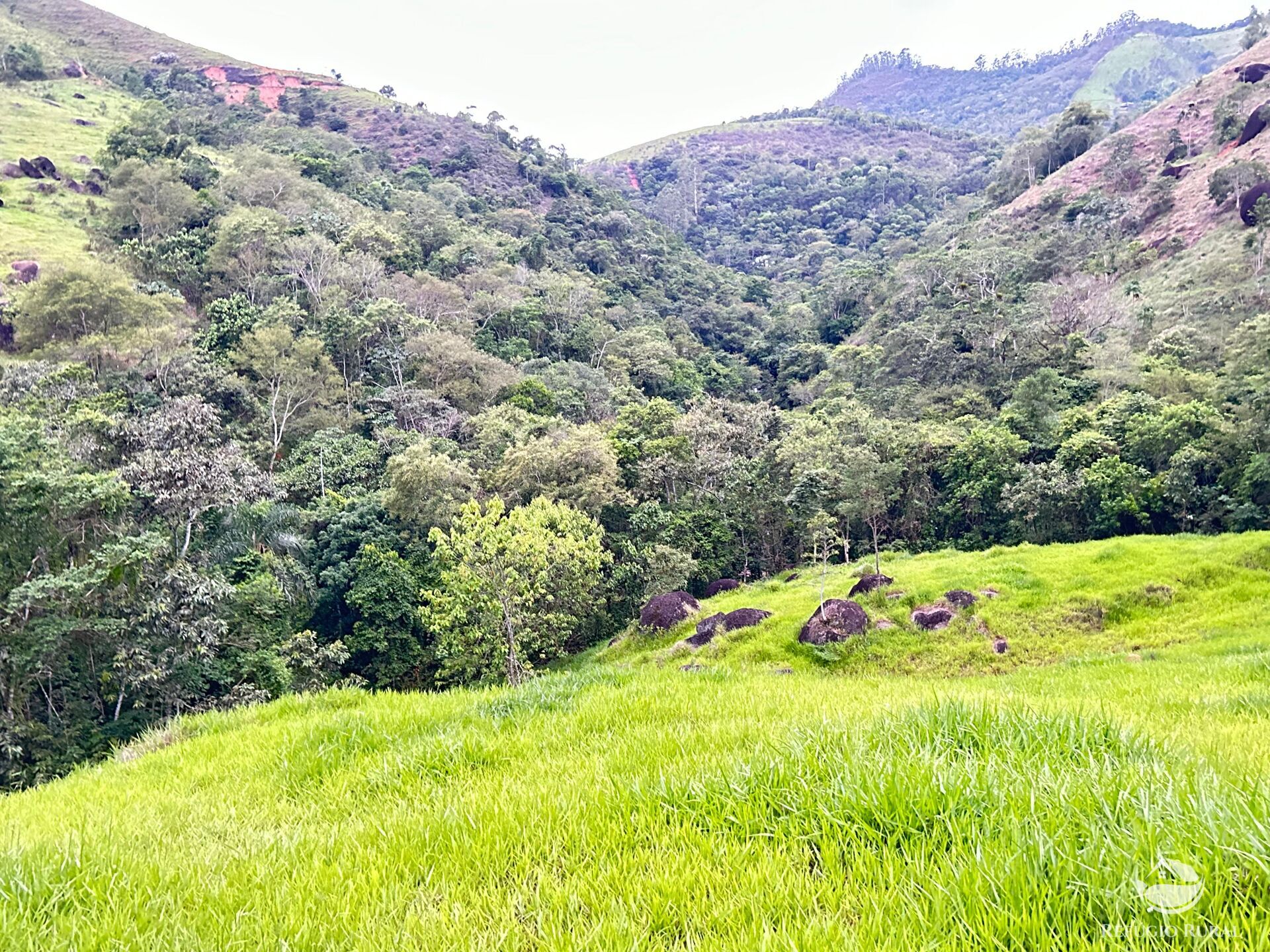 Terreno à venda, 20000m² - Foto 7