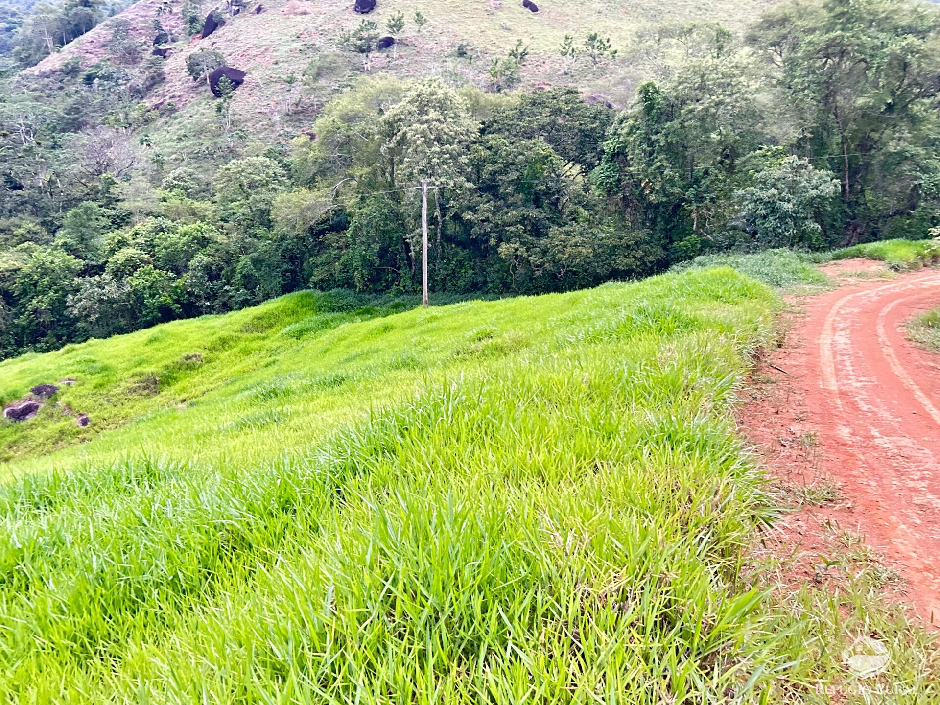 Terreno à venda, 20000m² - Foto 6