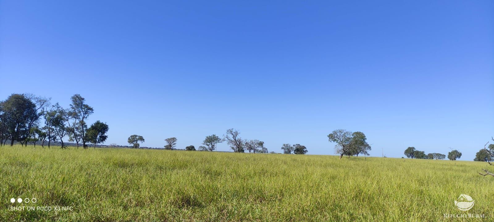 Fazenda à venda com 3 quartos, 8910000m² - Foto 3