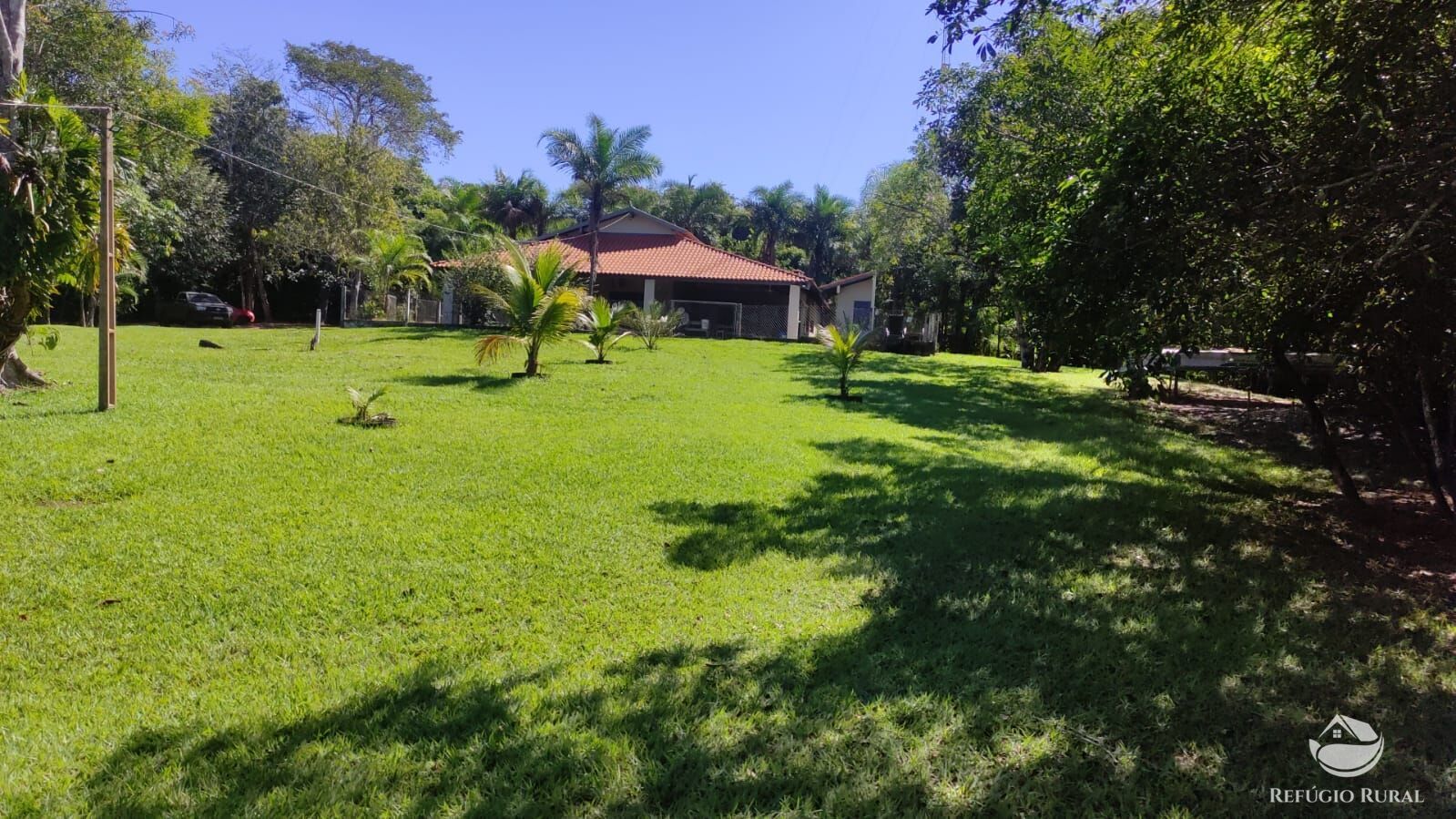 Fazenda à venda com 3 quartos, 8910000m² - Foto 1