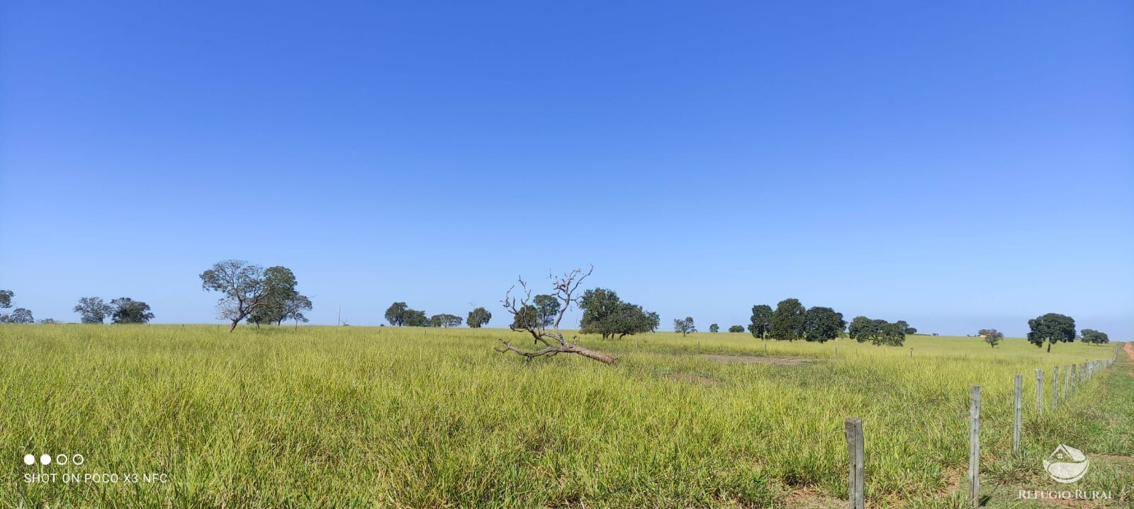 Fazenda à venda com 3 quartos, 8910000m² - Foto 2