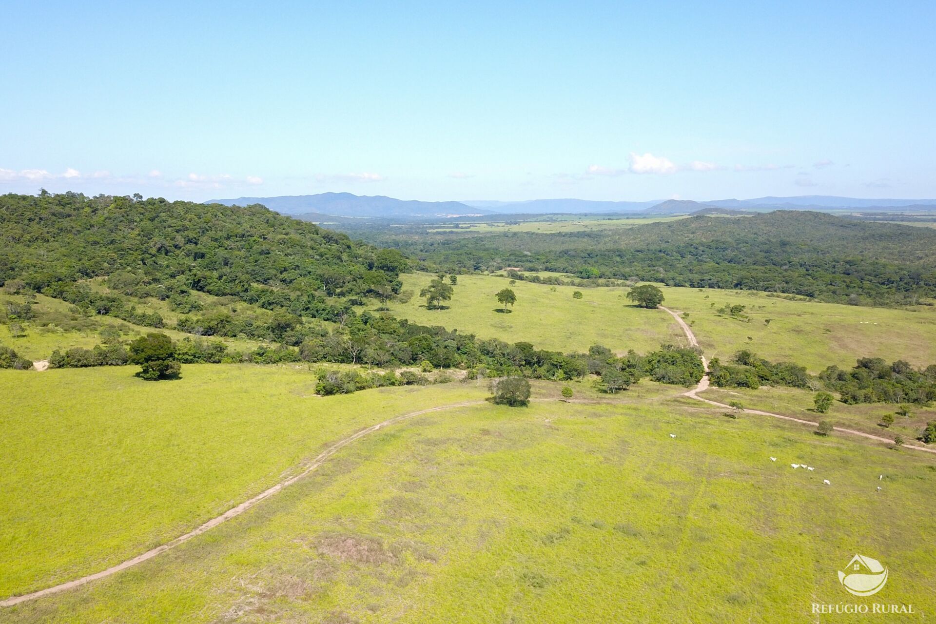 Fazenda à venda com 8 quartos, 15230000m² - Foto 36