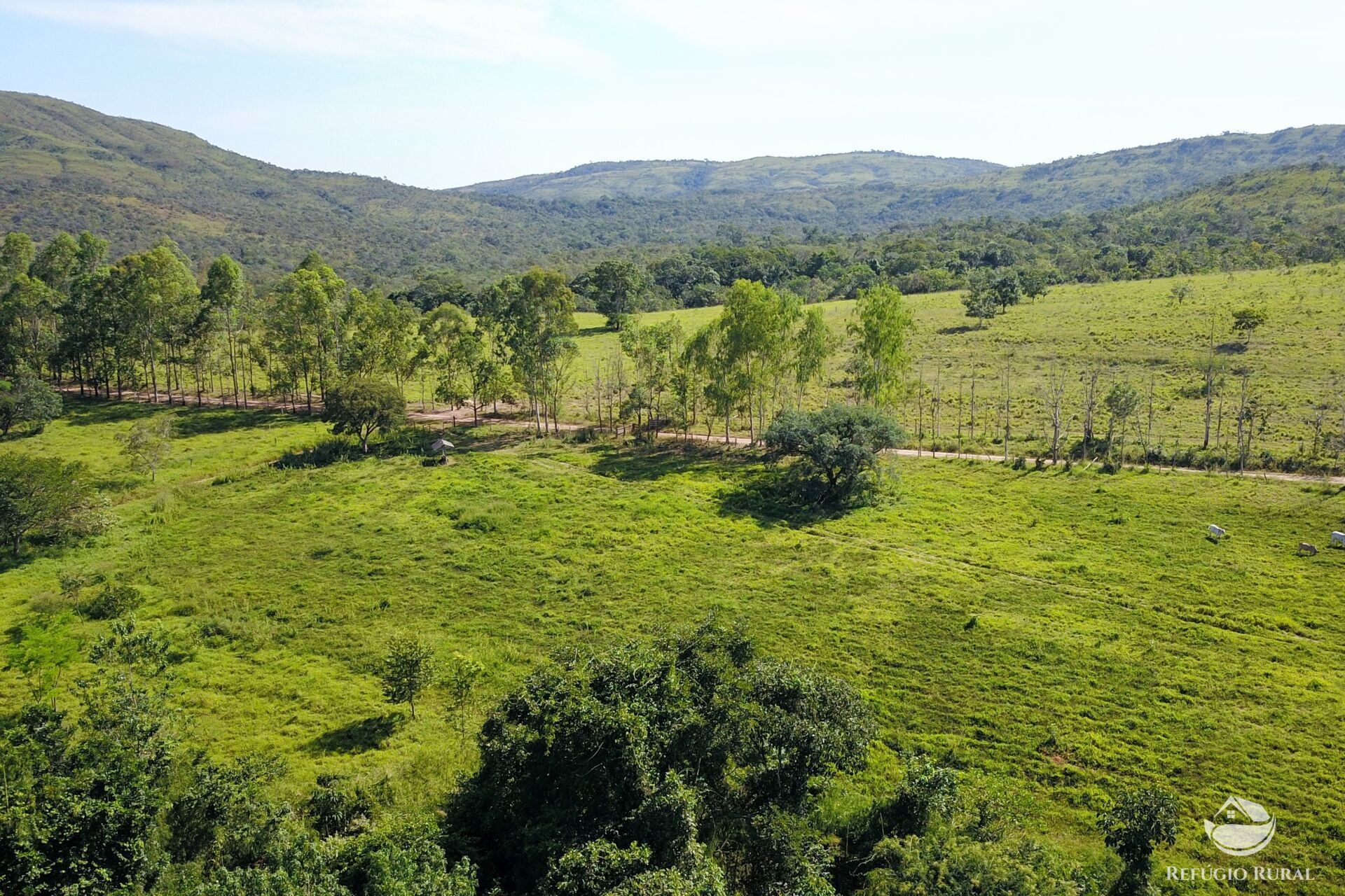 Fazenda à venda com 8 quartos, 15230000m² - Foto 5