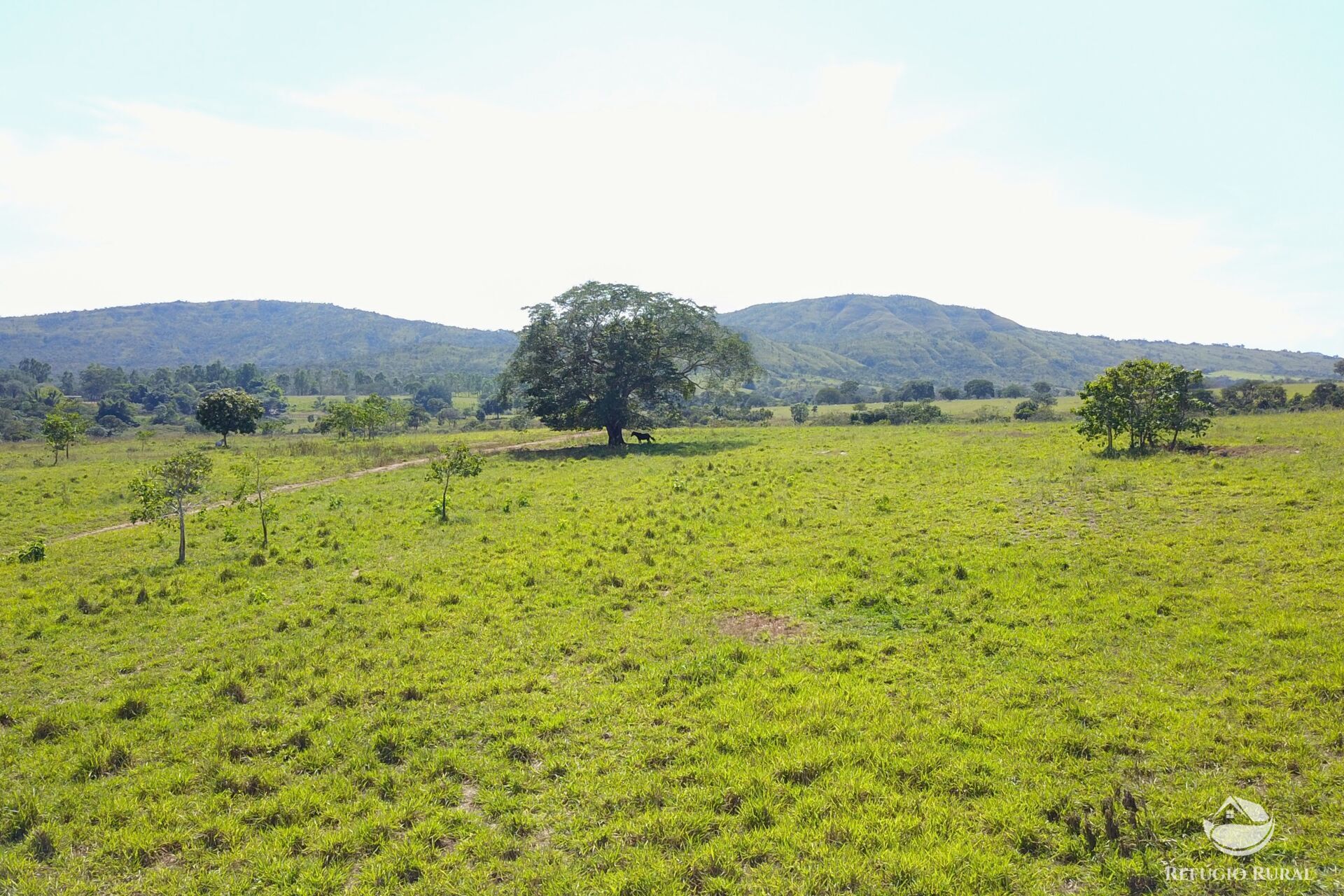 Fazenda à venda com 8 quartos, 15230000m² - Foto 33