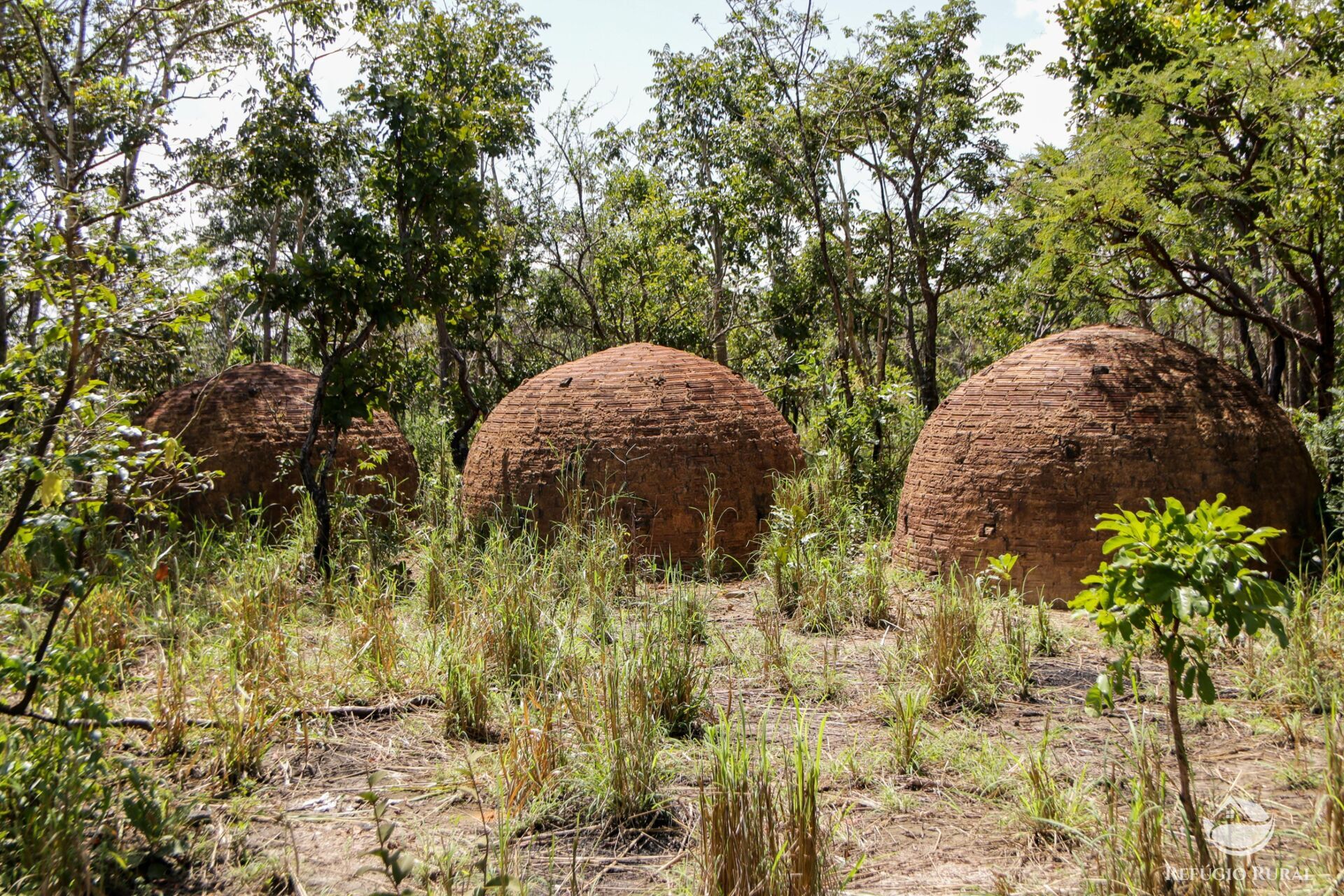 Fazenda à venda com 8 quartos, 15230000m² - Foto 7