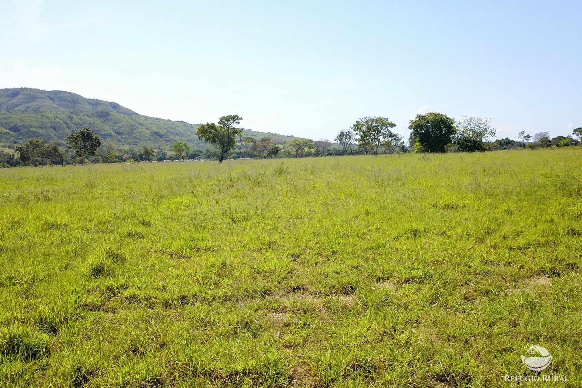 Fazenda à venda com 8 quartos, 15230000m² - Foto 31