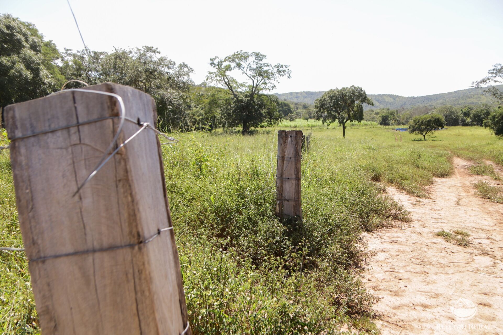 Fazenda à venda com 8 quartos, 15230000m² - Foto 12