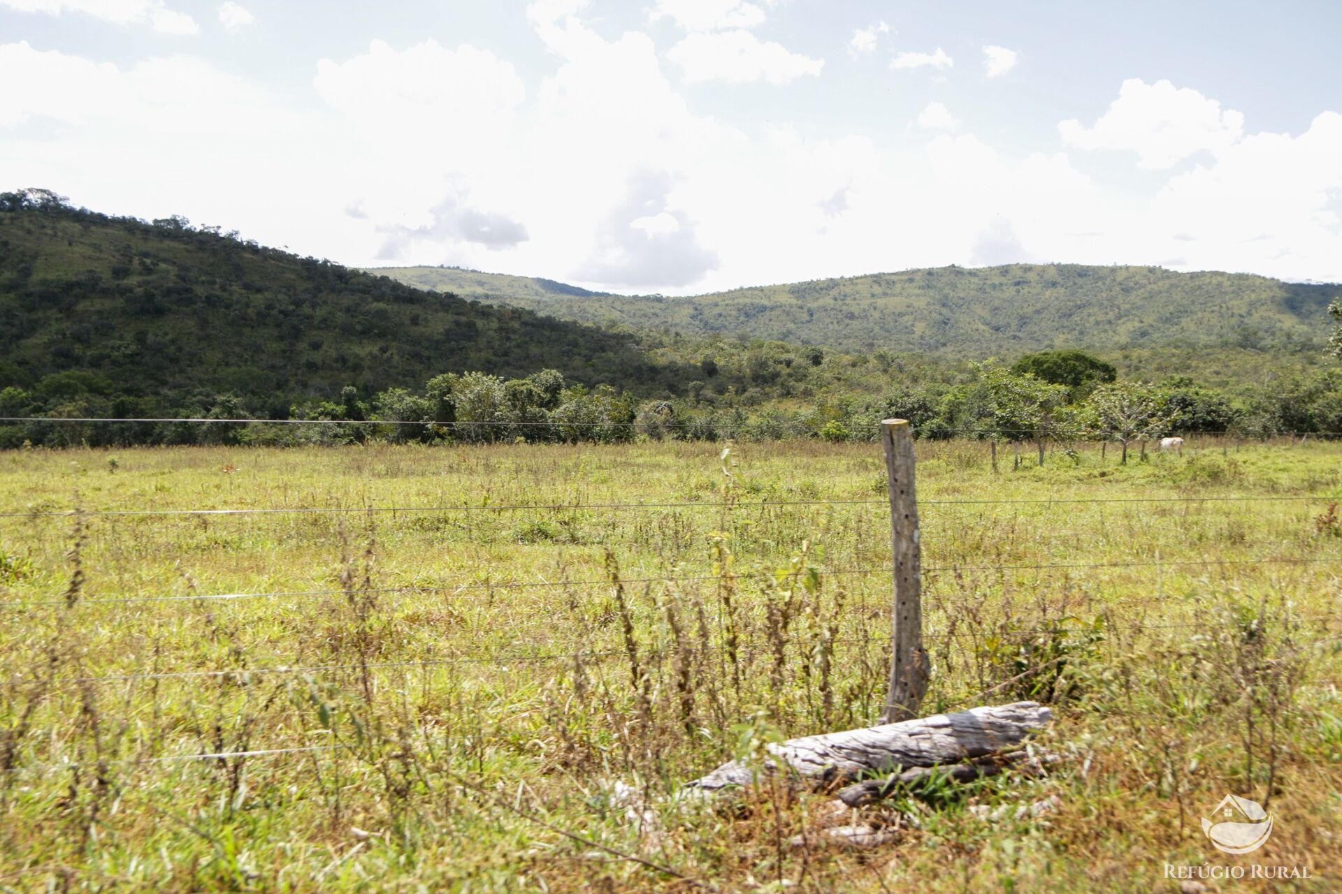 Fazenda à venda com 8 quartos, 15230000m² - Foto 8