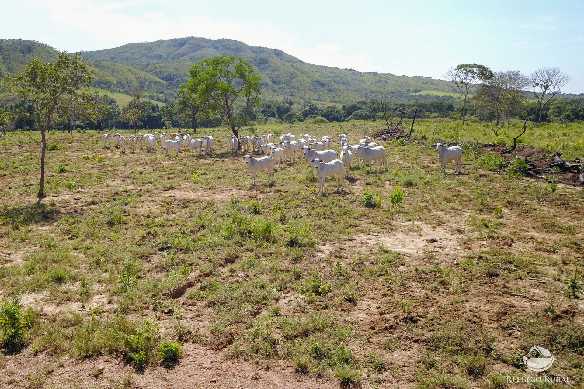 Fazenda à venda com 8 quartos, 15230000m² - Foto 29