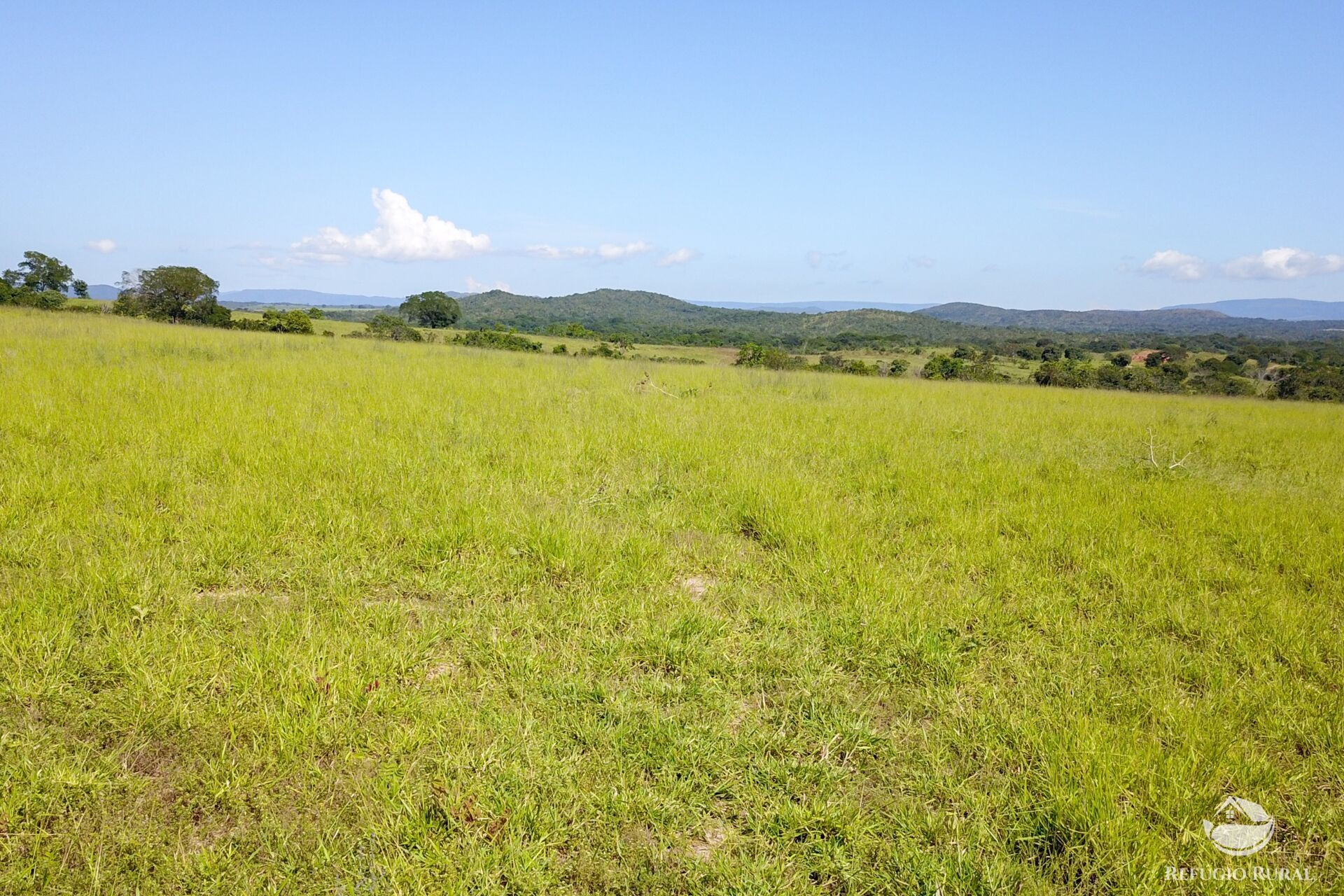 Fazenda à venda com 8 quartos, 15230000m² - Foto 26