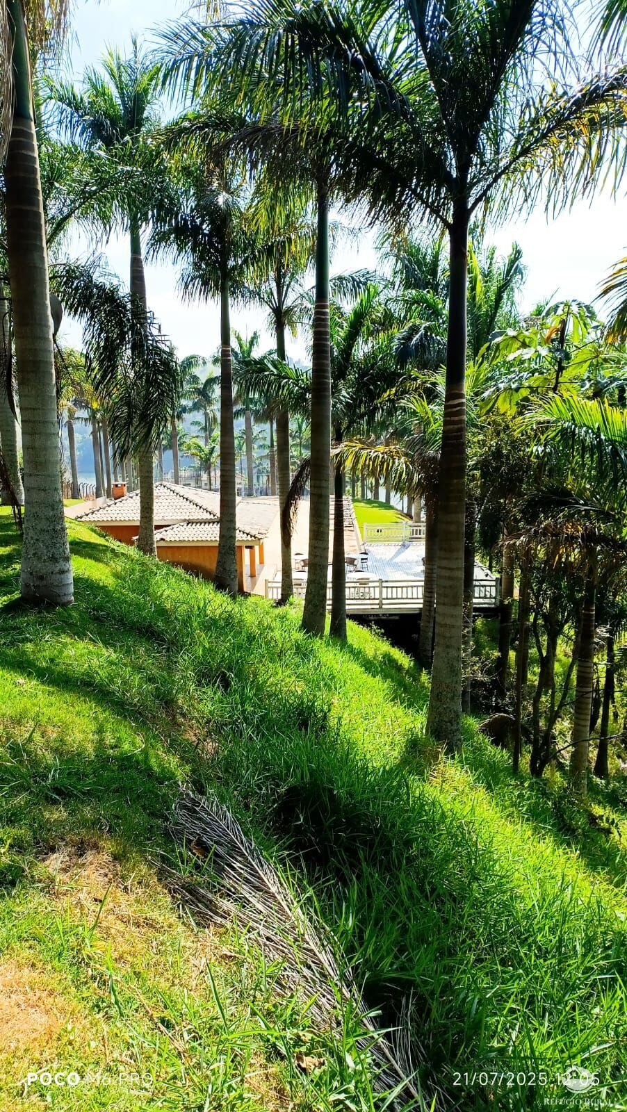 Sítio, 12 quartos, 29 hectares - Foto 3