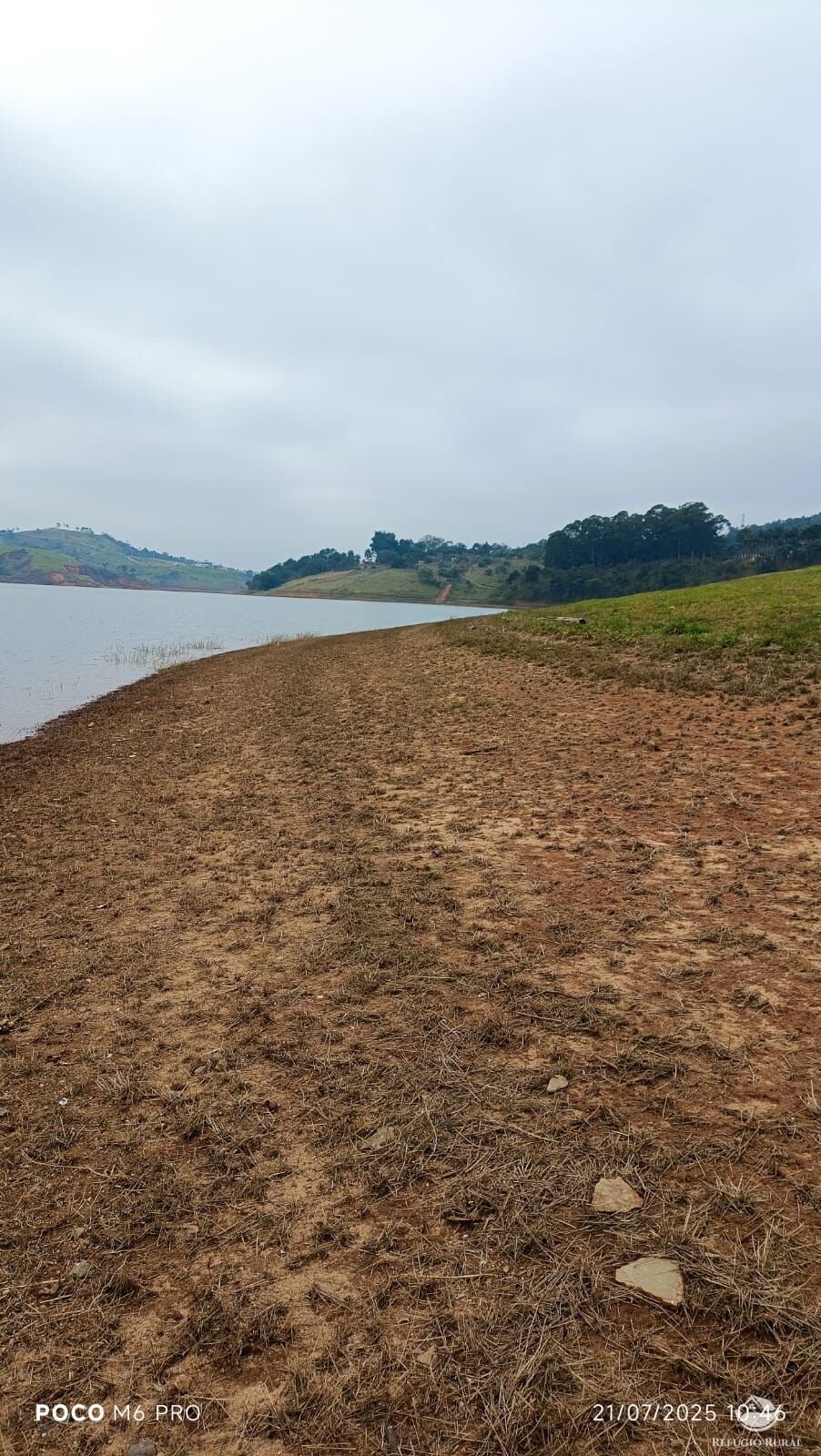 Sítio, 12 quartos, 29 hectares - Foto 35