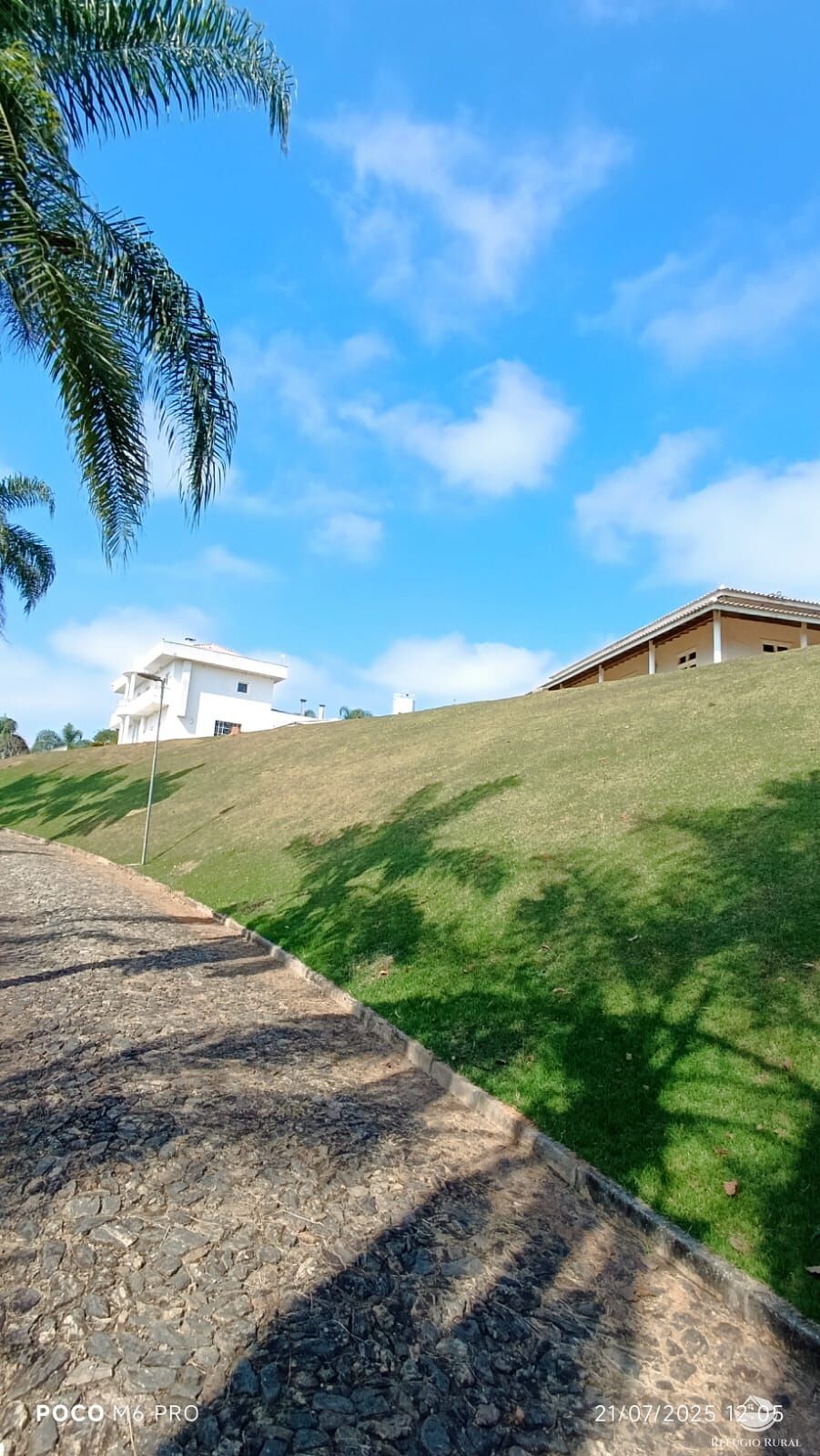 Sítio, 12 quartos, 29 hectares - Foto 34