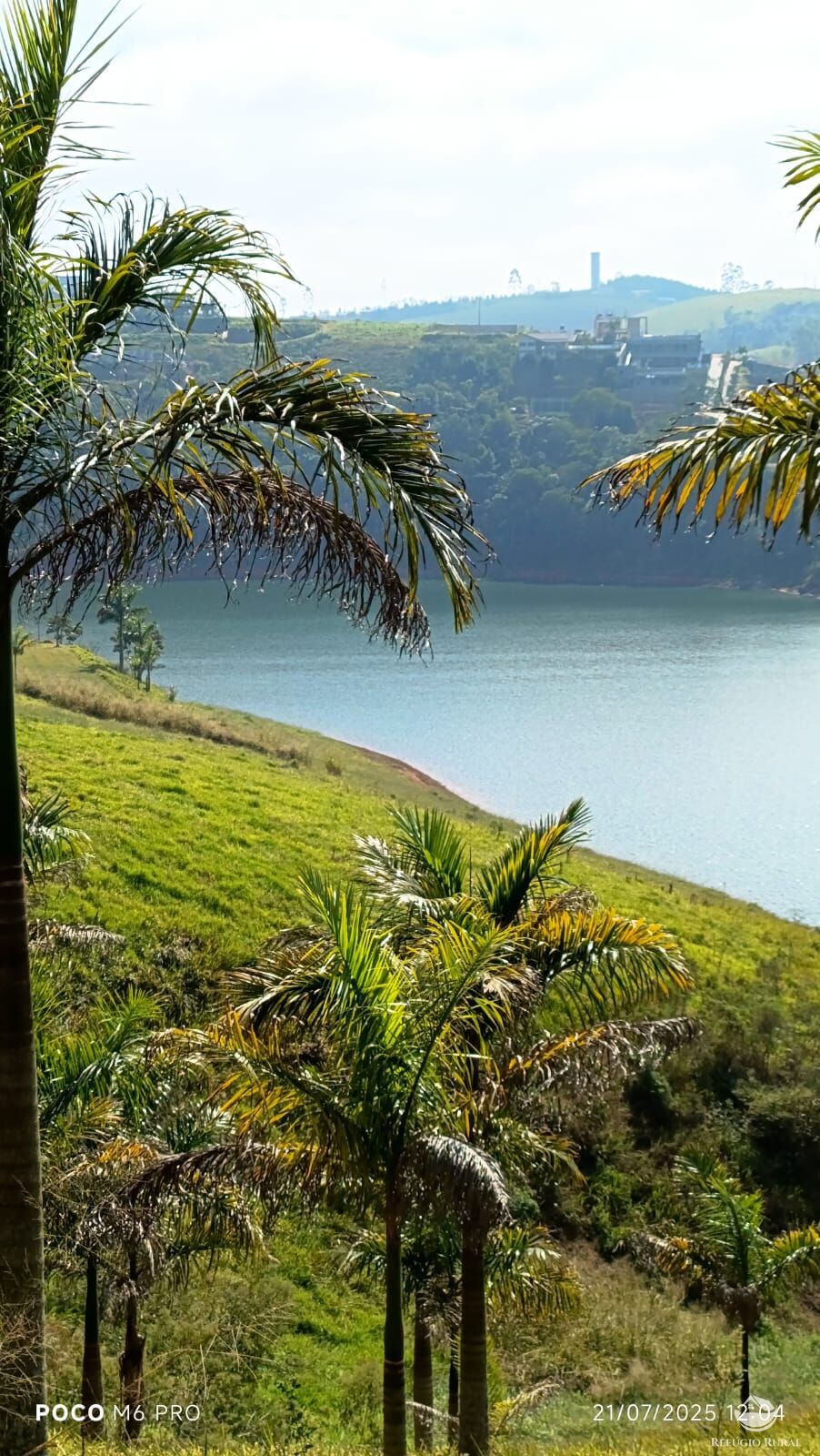 Sítio, 12 quartos, 29 hectares - Foto 4