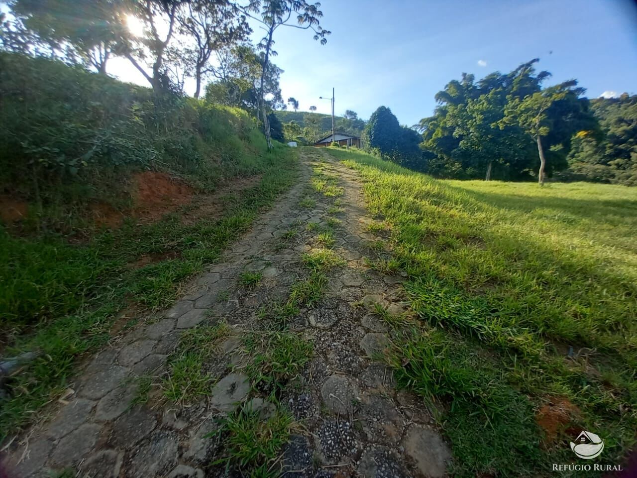 Fazenda à venda com 2 quartos, 25300m² - Foto 3