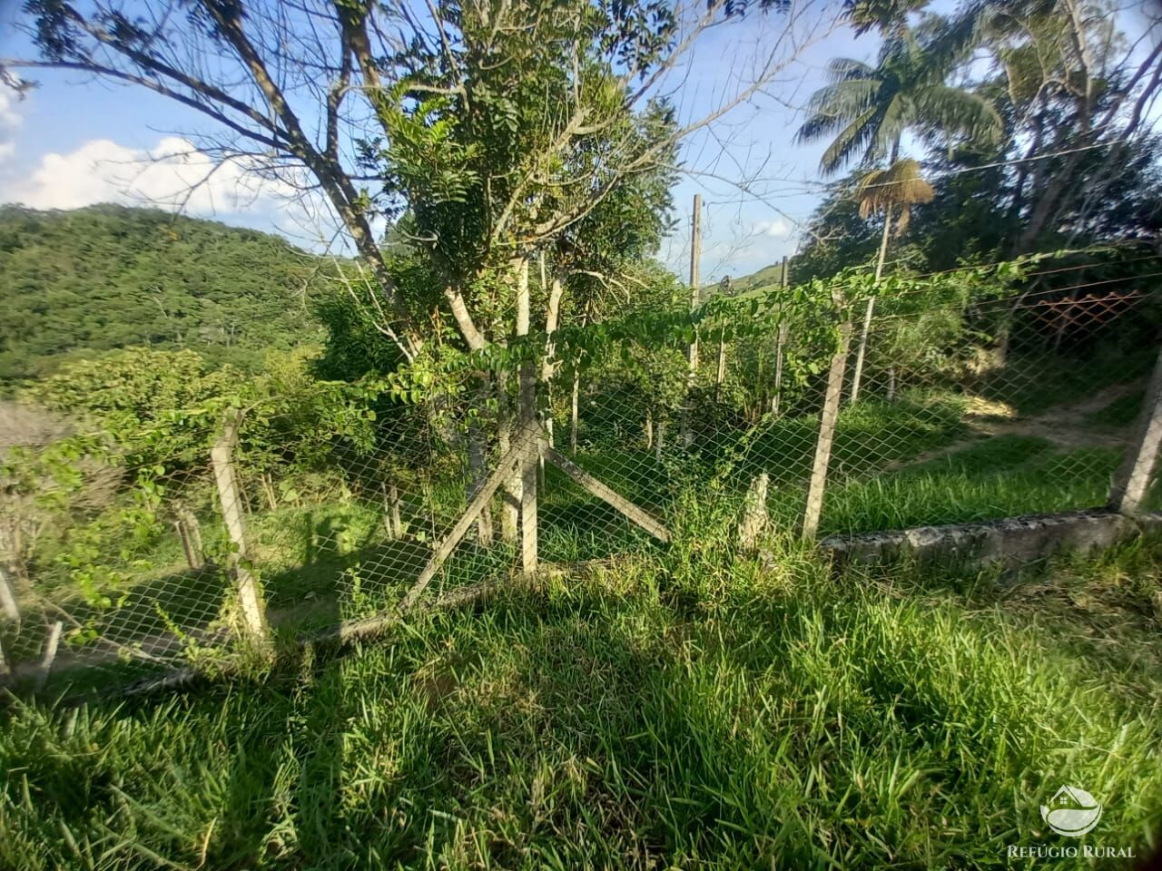 Fazenda à venda com 2 quartos, 25300m² - Foto 29