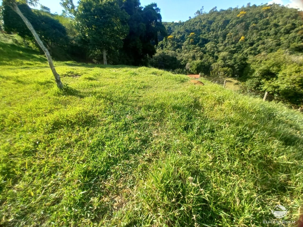 Fazenda à venda com 2 quartos, 25300m² - Foto 30