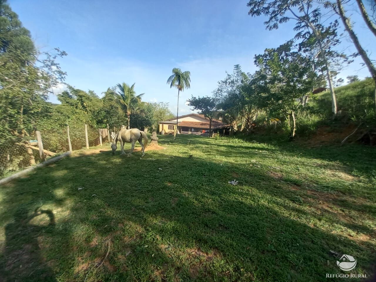 Fazenda à venda com 2 quartos, 25300m² - Foto 12