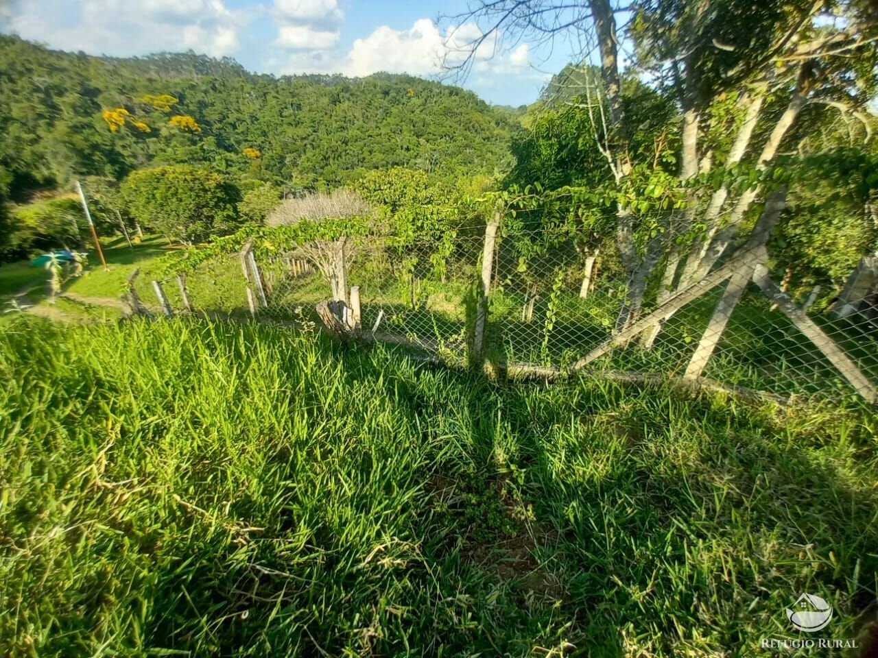 Fazenda à venda com 2 quartos, 25300m² - Foto 28