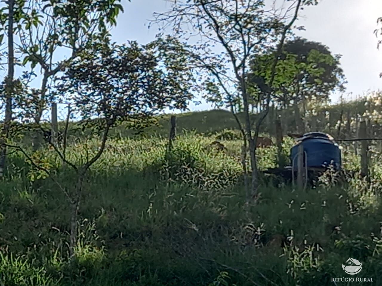 Fazenda à venda com 2 quartos, 25300m² - Foto 4