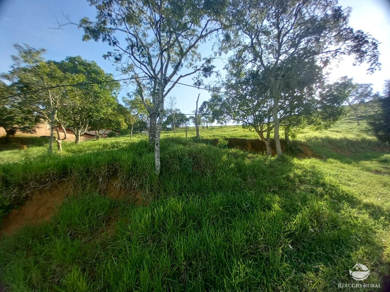 Fazenda à venda com 2 quartos, 25300m² - Foto 31